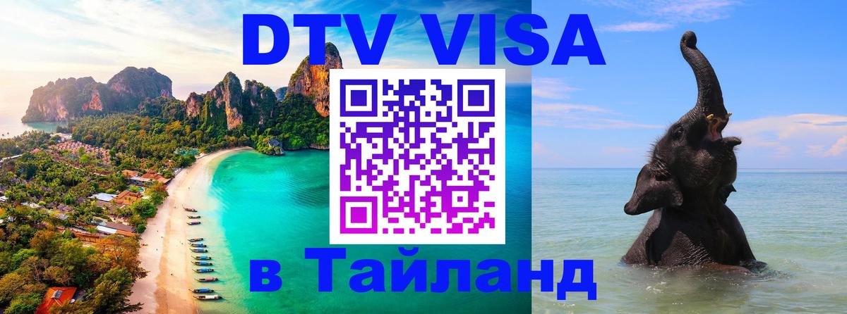 Оформление DTV визы под ключ: стоимость и тарифы, только загранпаспорт - 